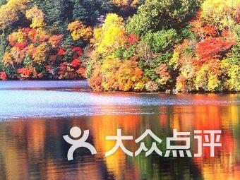 妙鸭相机app下载官网